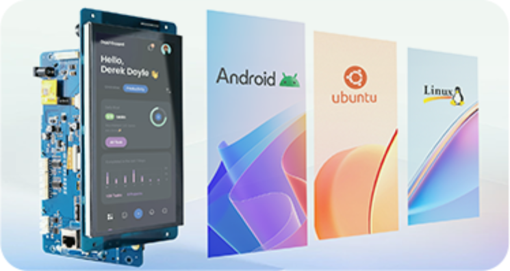 Multiple Operating Systems